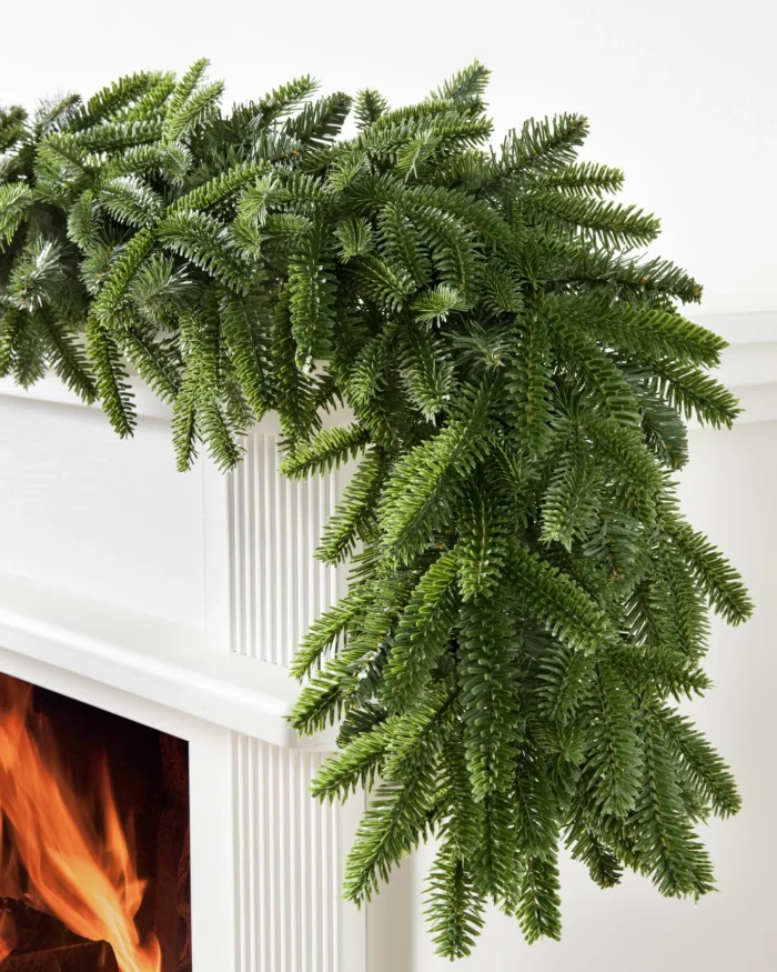 Compositions végétales en sapin Fraser