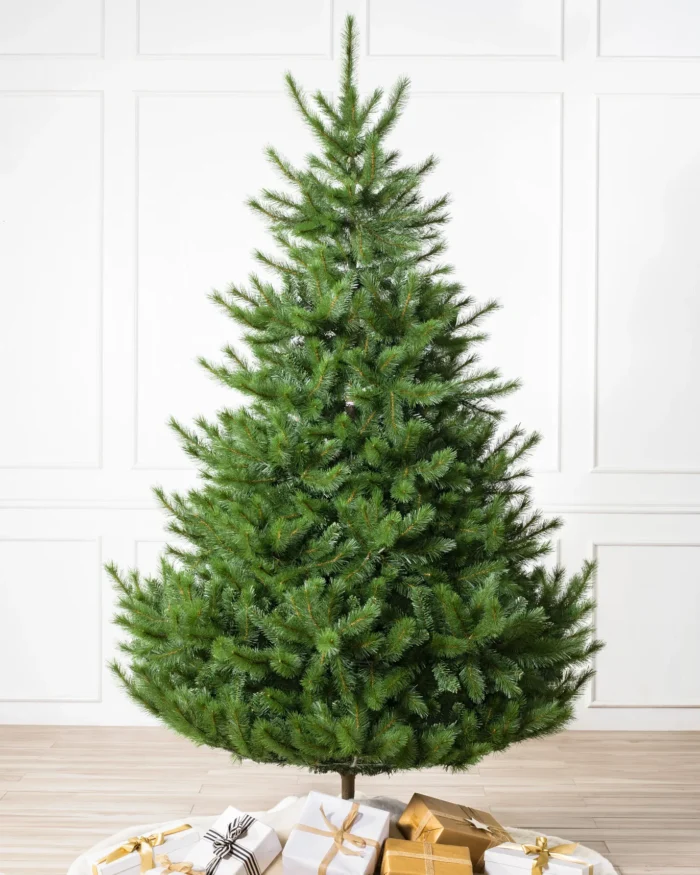 Sapin de Noël Nordmann artificiel standard